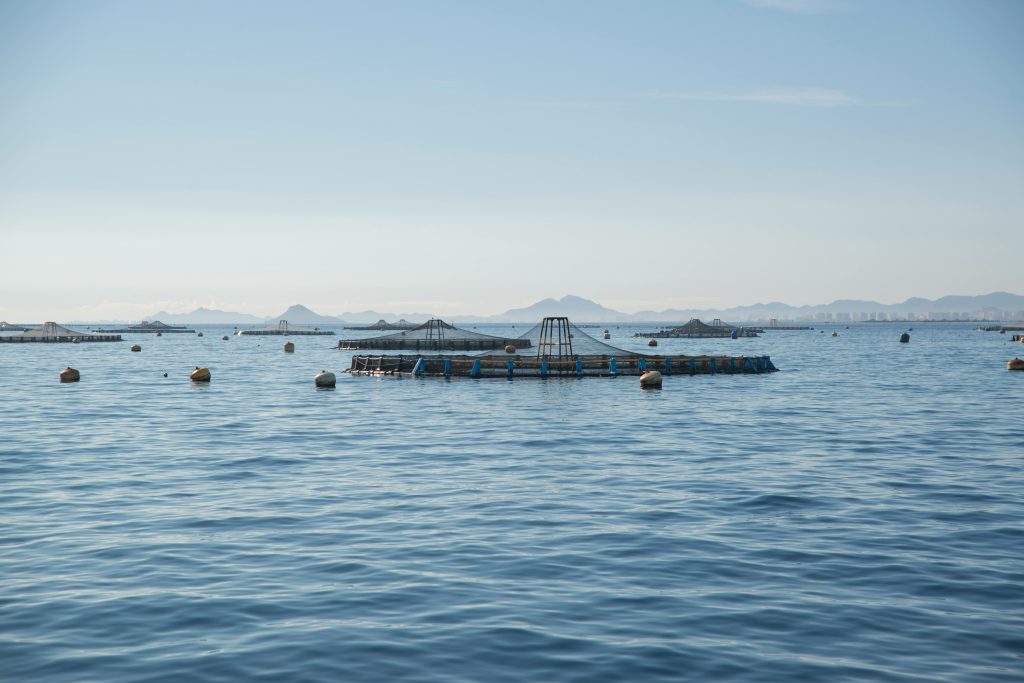 pexels-photo-10436679-10436679 Expansive fish farm setup in the calm waters of San Pedro del Pinatar, Spain.