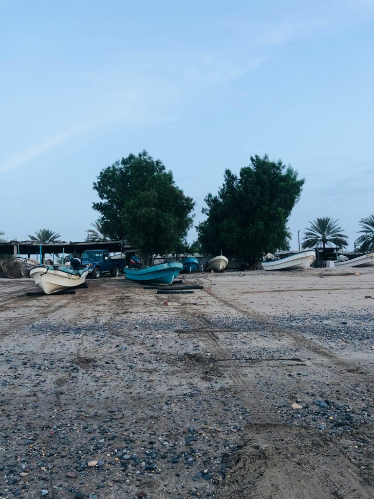 Peaceful coastal scene showcasing boats moored near trees, under a serene evening sky.